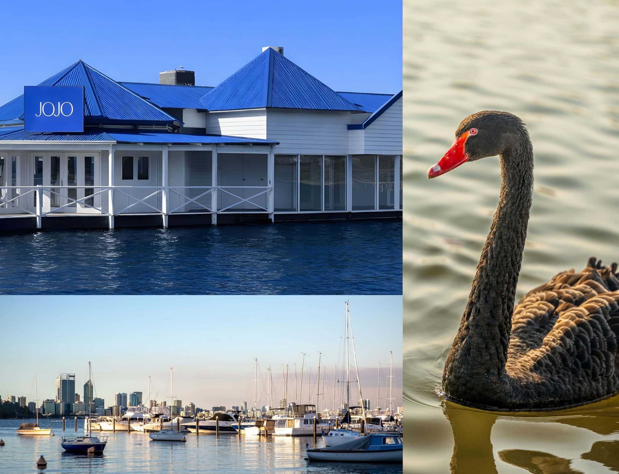 Nedlands Baths Transformation into Tourist Landmark
